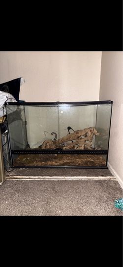 Reptile enclosure 18x18x36