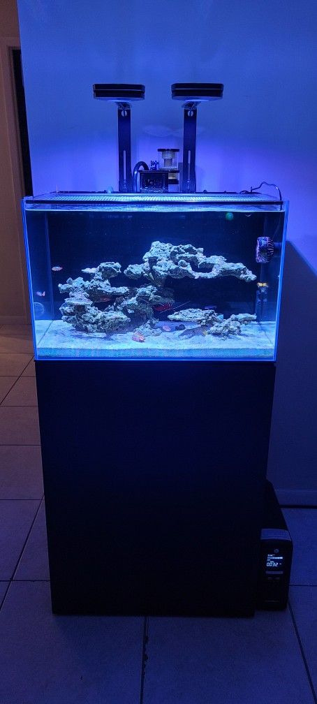 24 Gallon Salwater Aquarium (Complete Set-Up)