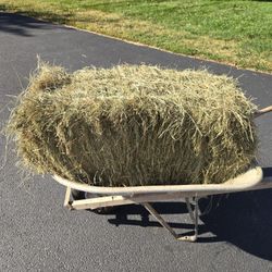 Hay for sale