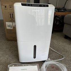 Dehumidifier for Home and Basement