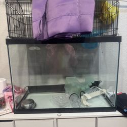 Hamster Habitat 