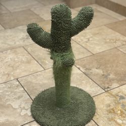 Cactus Cat Scratching Post! 