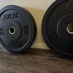 2x45 Lb Bumper Weights $85 Firm