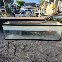 Free Glass Fish Tank ONLY no Base