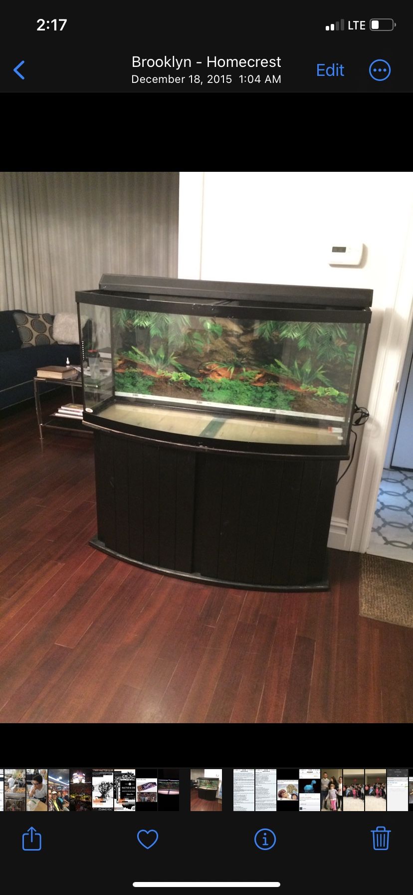 72 Gallon Bowfront Aquarium with Base+Storage