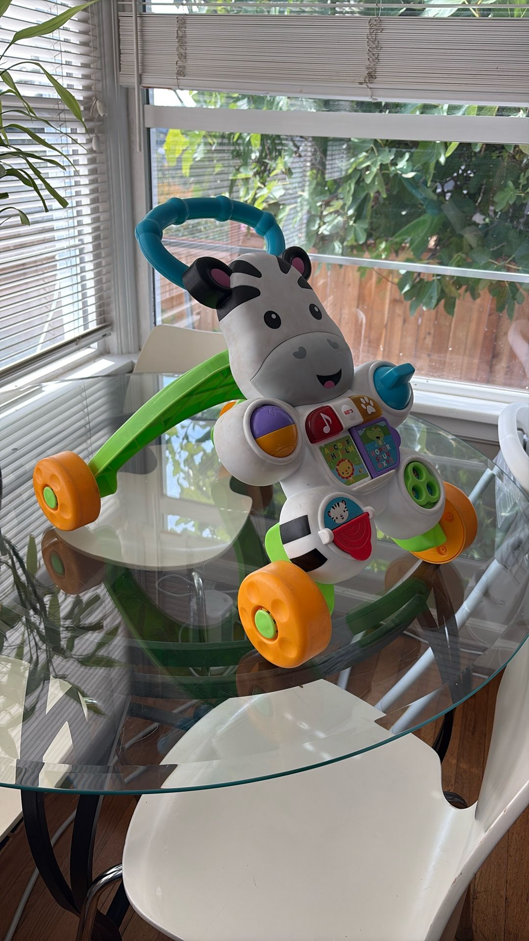 Baby Push Walker