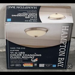 Brand New Light 