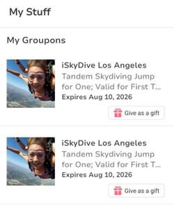 2 sky diving passes in Oxnard/Camarillo