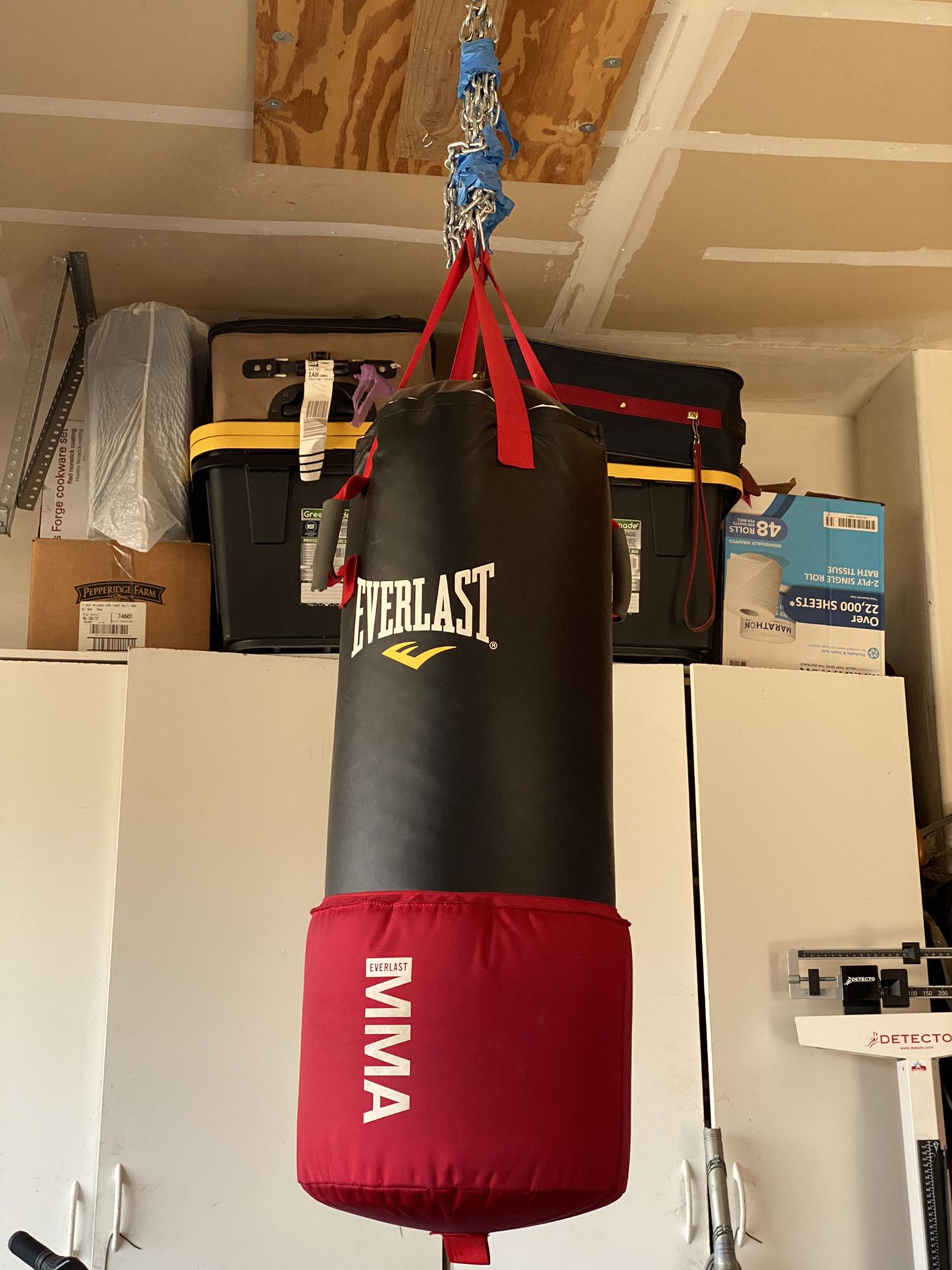 Everlast MMA Omnistrike 80 lb. Heavy Bag