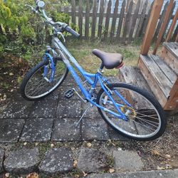 Schwinn Bicycle 