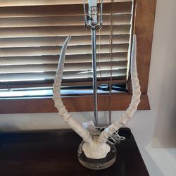 Impala Horns Lamp$20