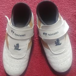 Marshall arts shoes