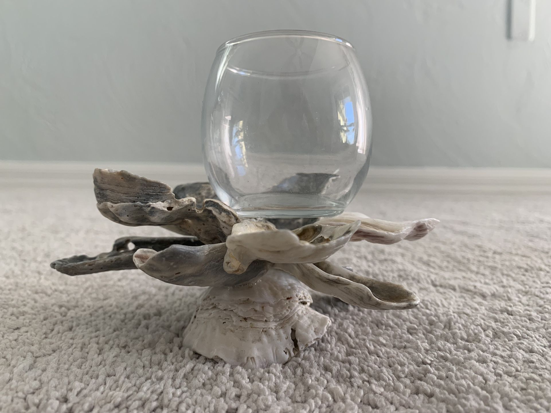 Oyster Shell Candle Holders