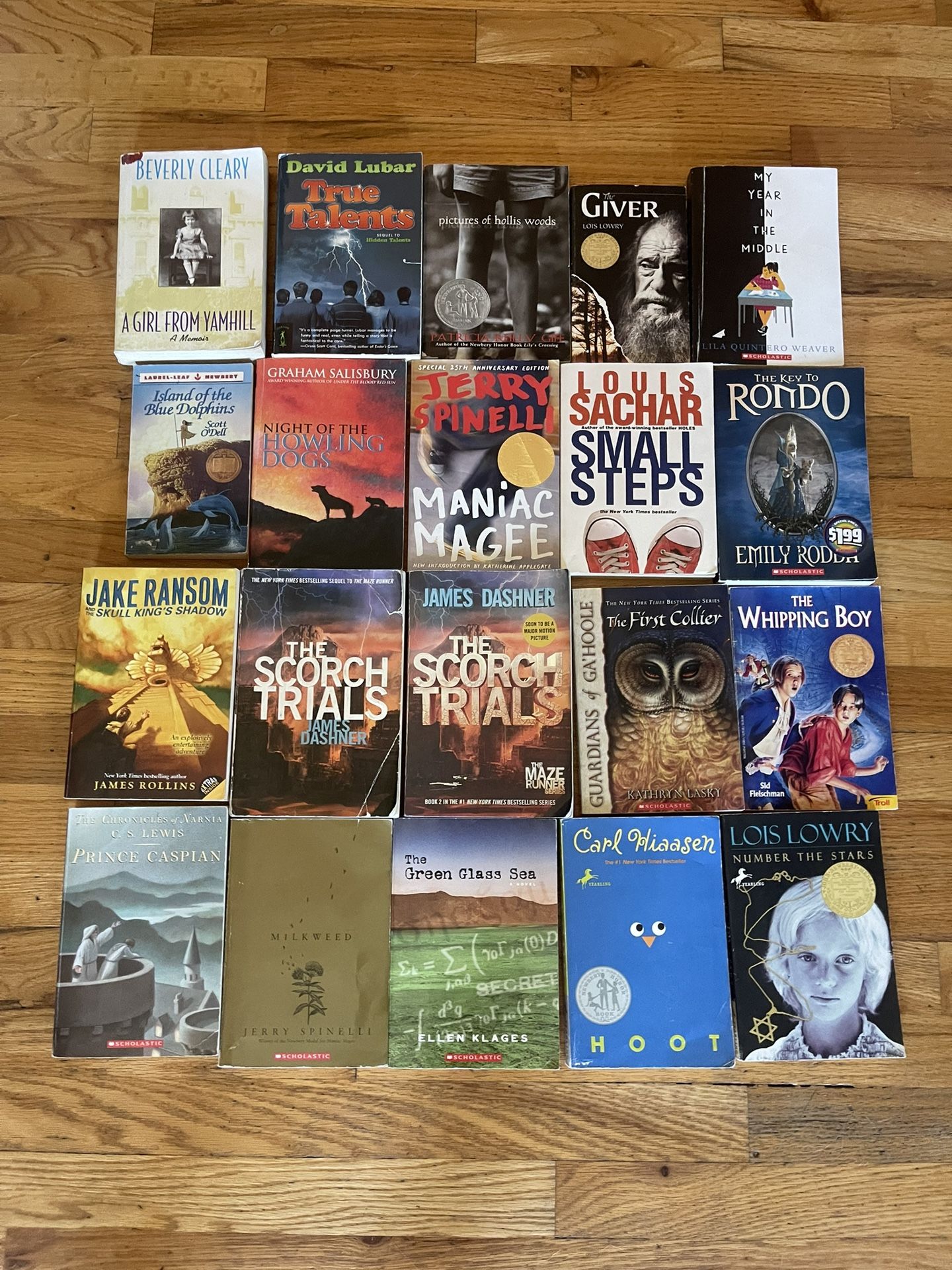Chapter Books 20 For $10