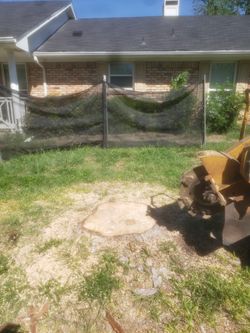Stump Grinding 