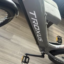 Troxus Trac LT E-Bike Silver Color Medium 