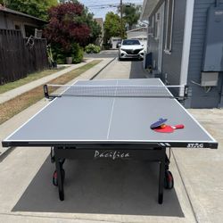 Professional Ping Pong Table 
