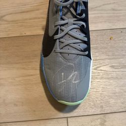 Giannis Antetokounmpo Signed Player Edition Basketball Shoe