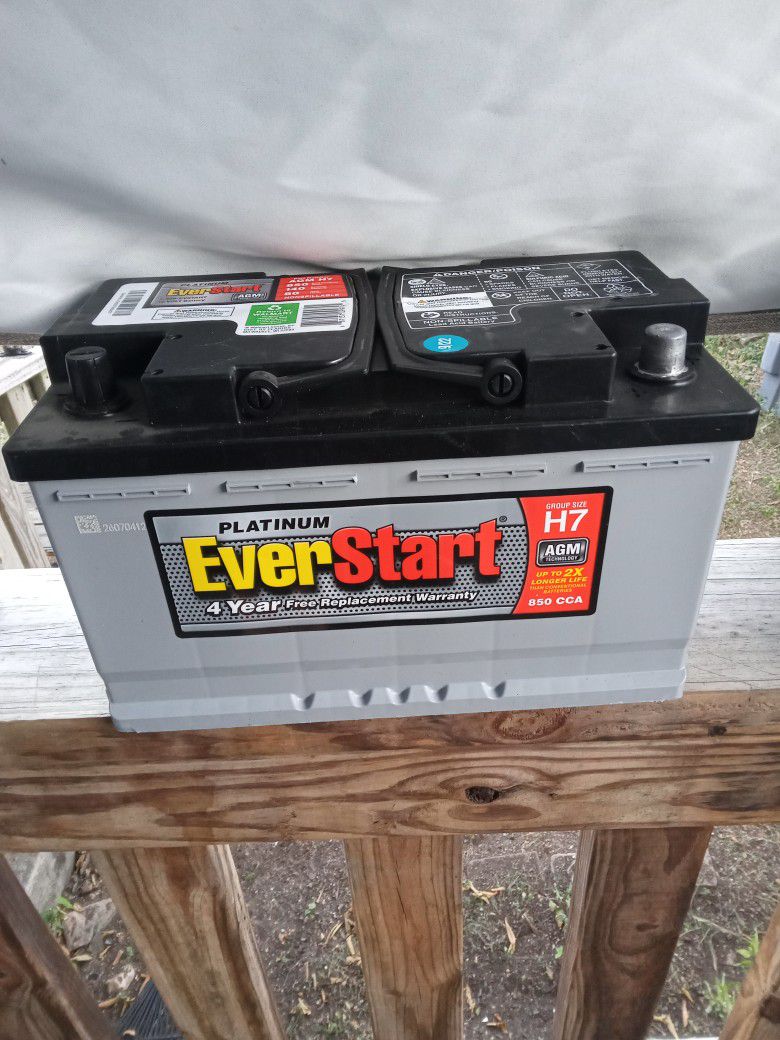 Platinum Everstart Battery 