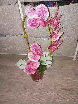 Orquidia Made In Germany New Watterproof