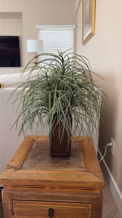 Fake house plant