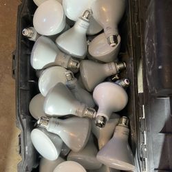 Light Bulbs LED 3000K