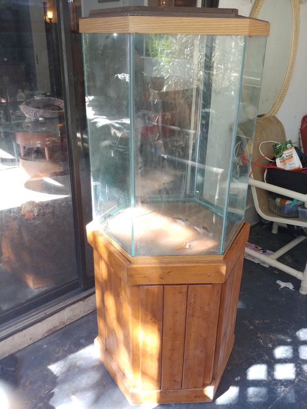 60 gallon hexagon fish tank for Sale in Wahneta, FL - OfferUp