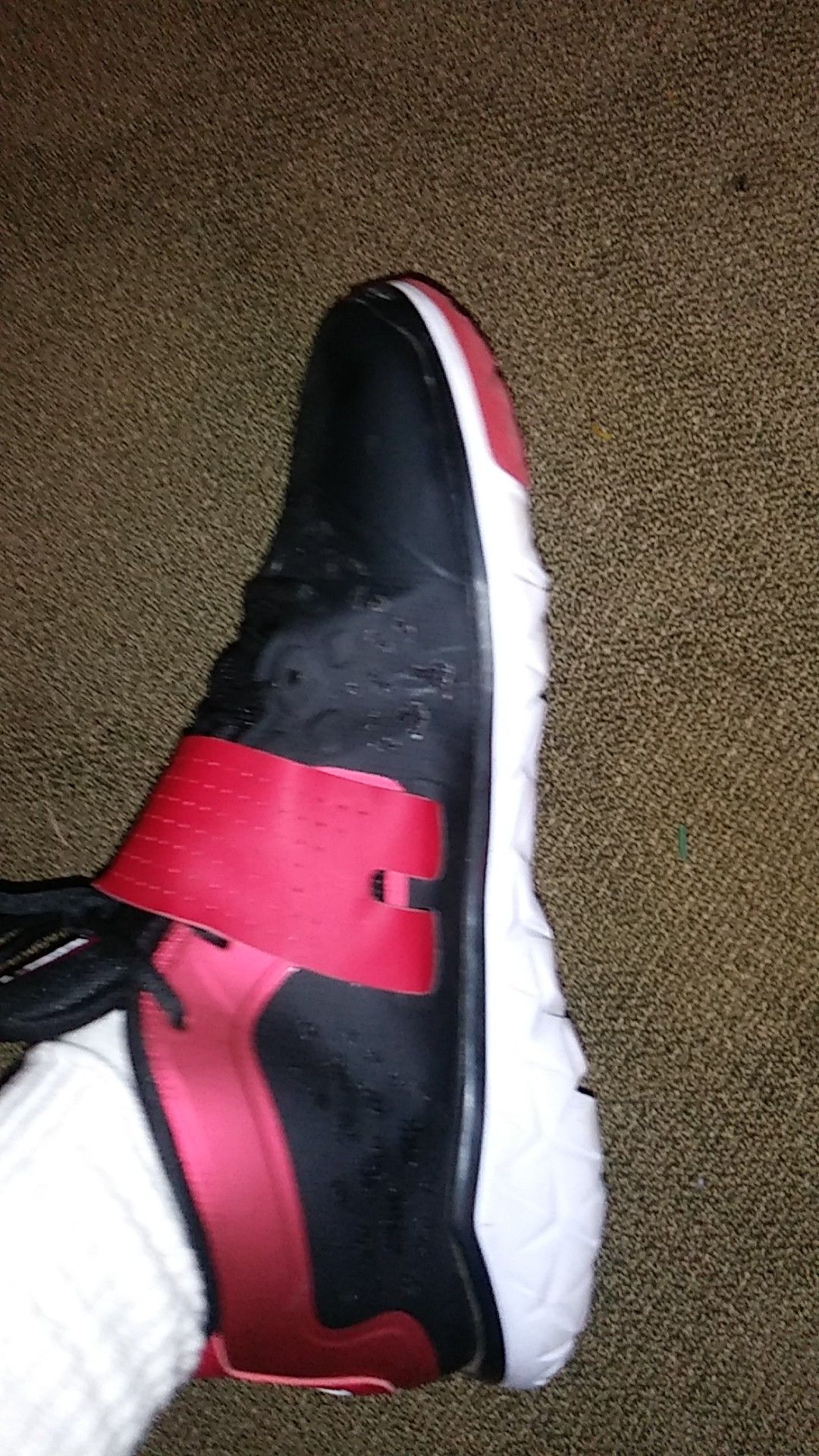 Jordan flight flex trainer 2