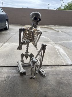 Bendable skeleton with Dog