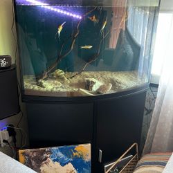 38 Gallon Tank 