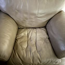 Two Leather Couches