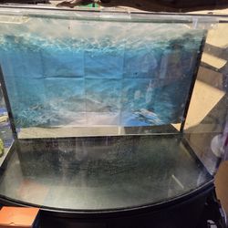 36 Gallon Bowed Front Fish Tank