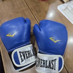 Everlast Women's Boxing Gloves 