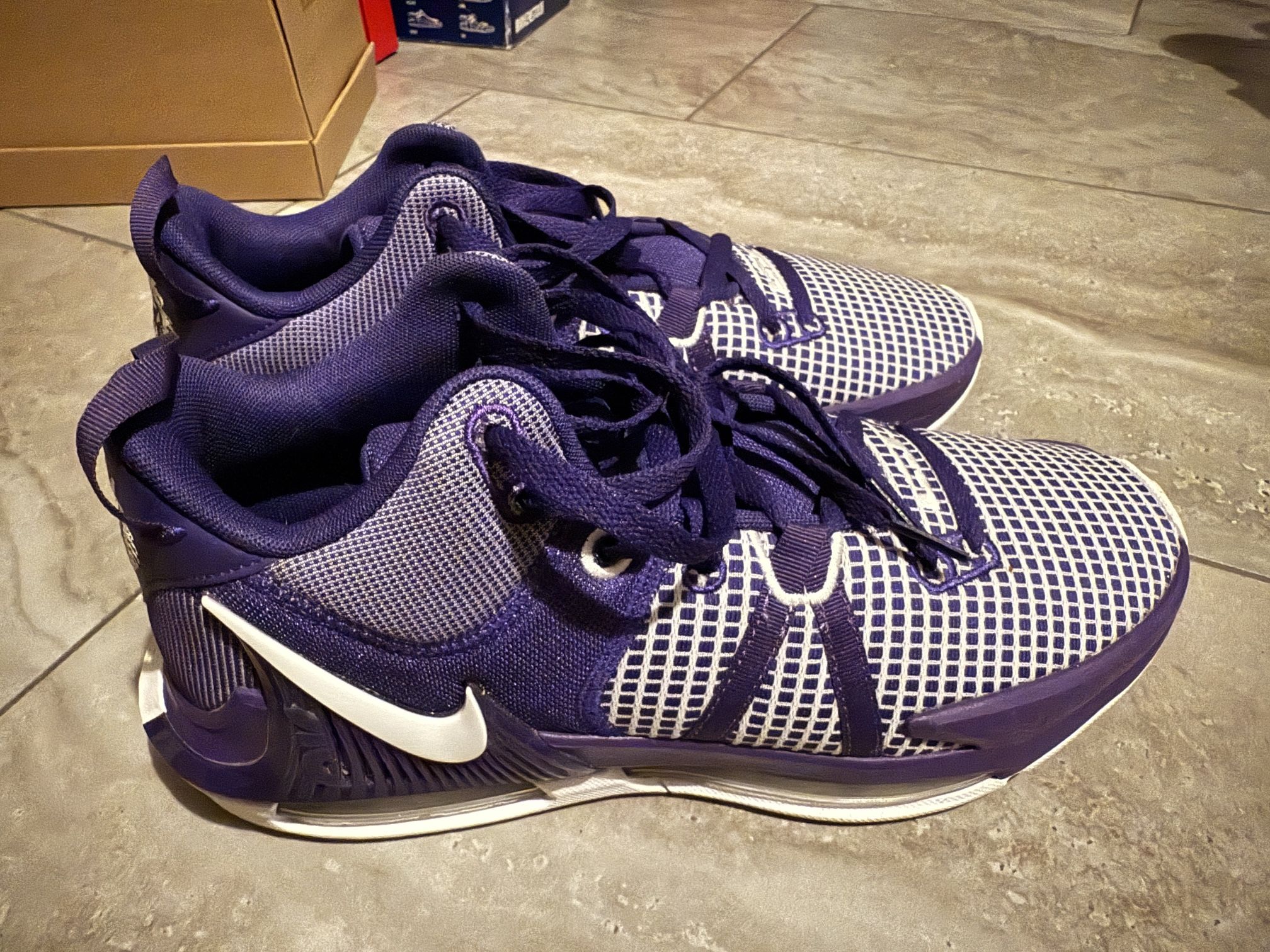 Men’s Nike LeBron Witness 7 TB Court Purple Size 10.5 Great Condition No Box