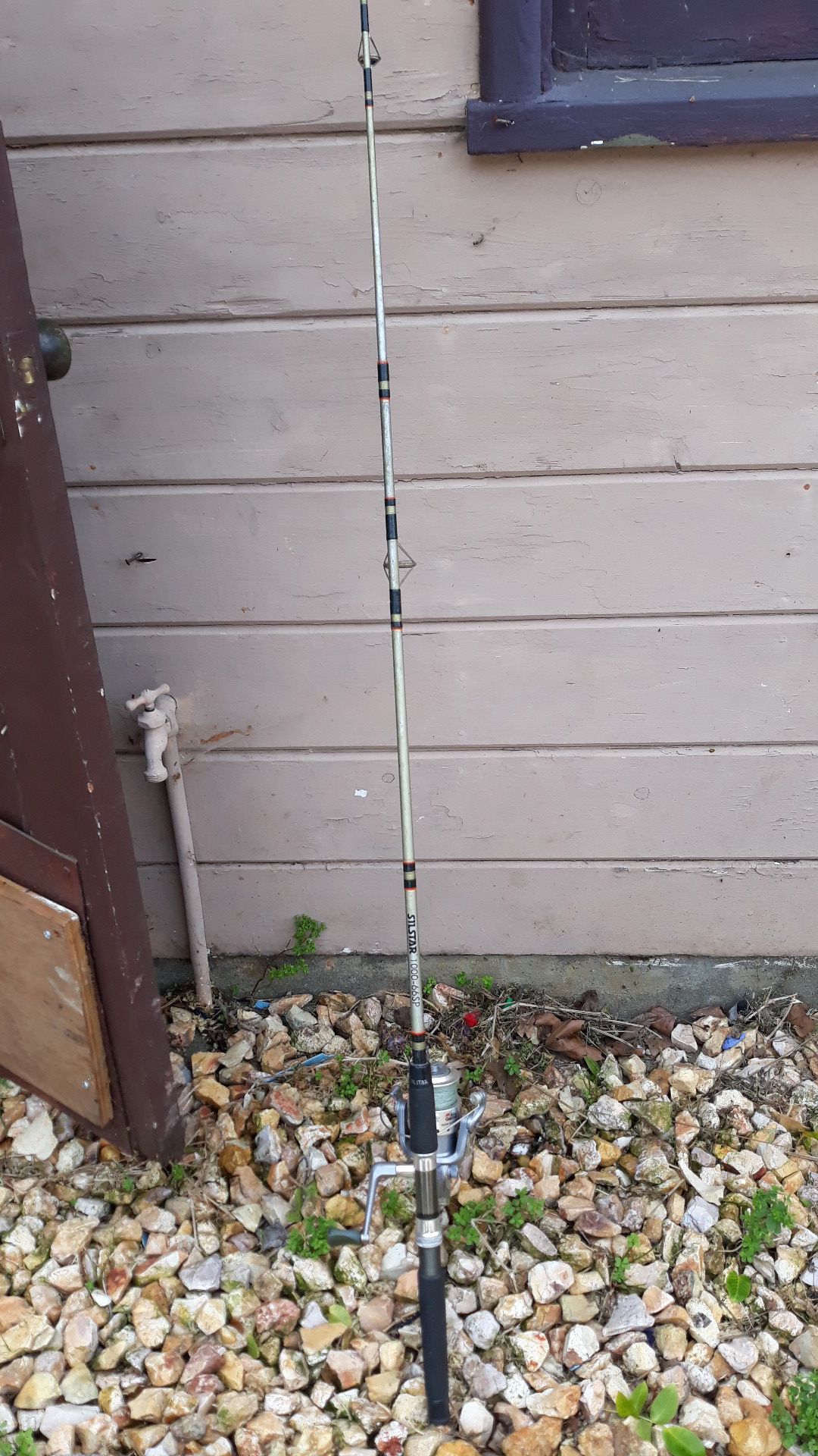 Silstar fishing pole with reel