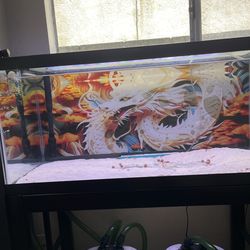 40 gallons fish tank and stand. Driftwood. Light