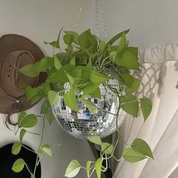 Custom Disco Planters 