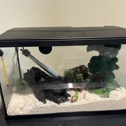 Fish Tank + Decorations + Accessories For sale - $100