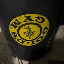 Golds Gym Punching Bag