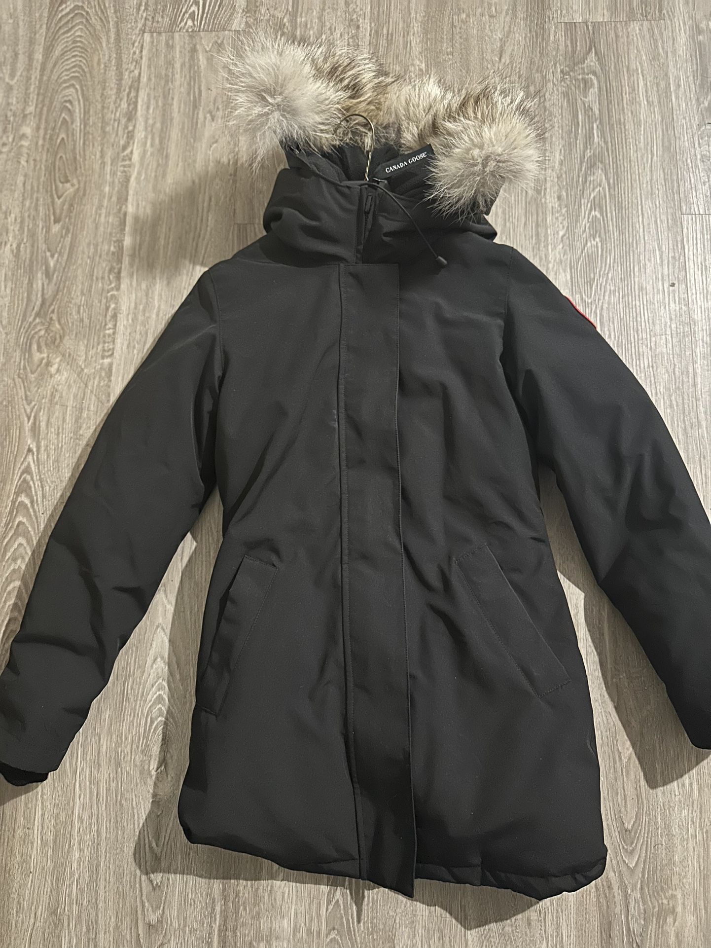 Canada Goose