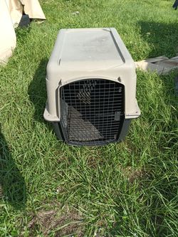 Dog cat or small animal shelter kennel traveling cage