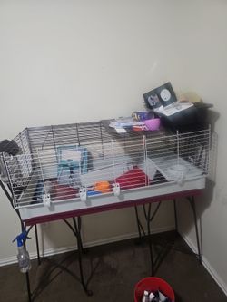 Extra large cage for Guines pig or rabbit