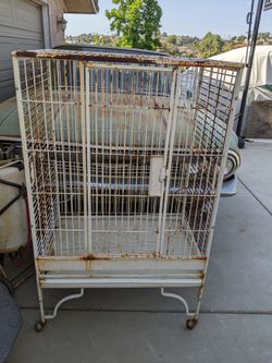 Large Bird Cage