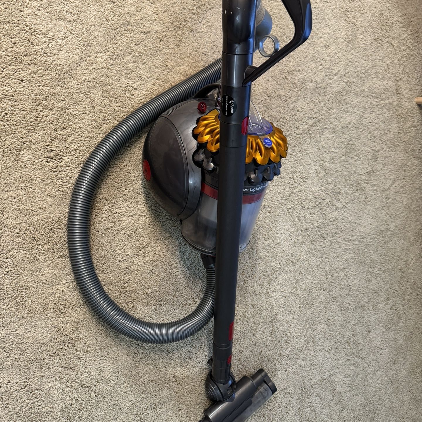 Dyson Bigball Multifloor Canister Vaccum(Used,$200)