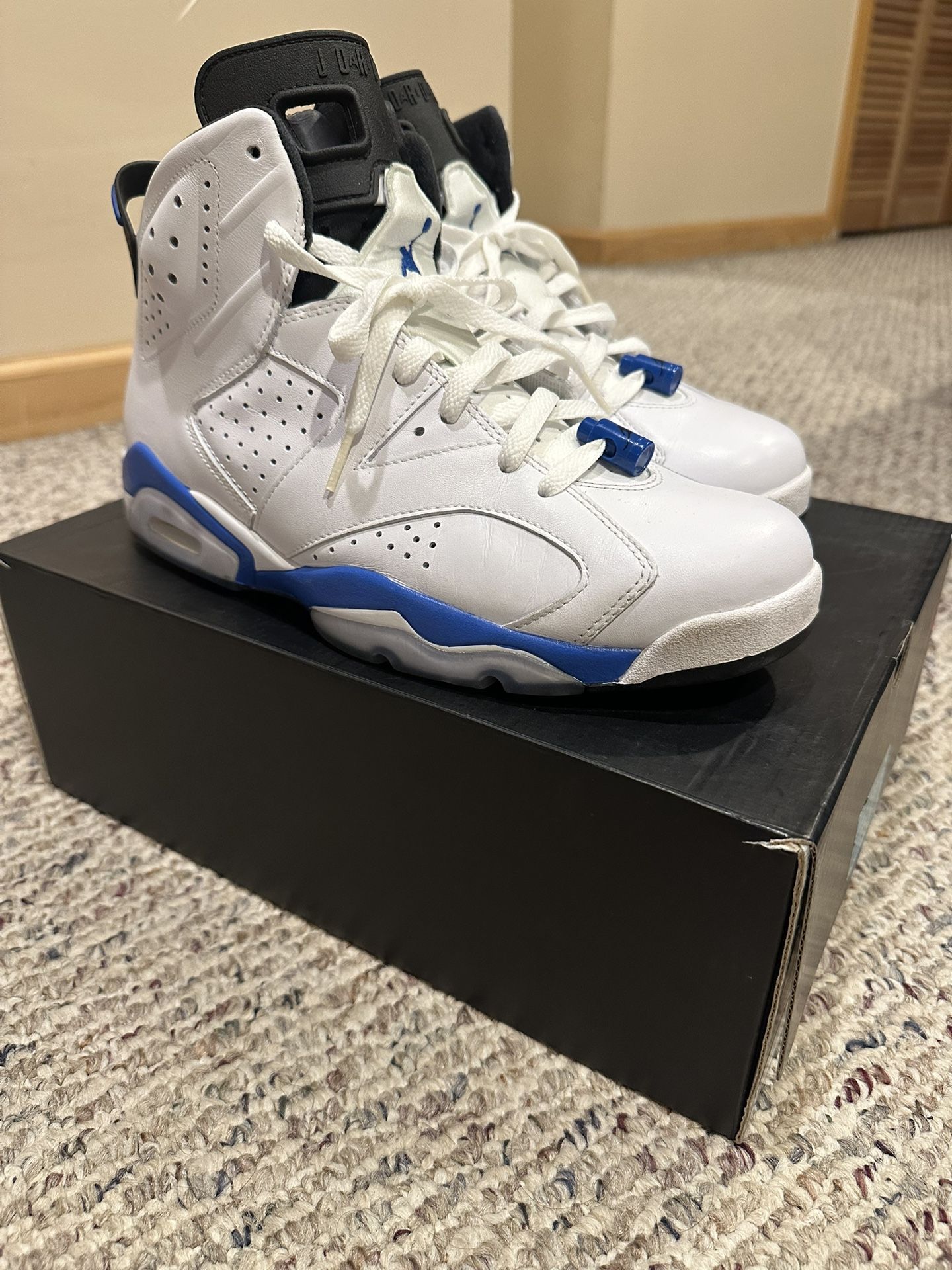 Jordan 6 Sport Blue