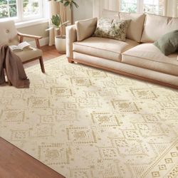 Area Rug 