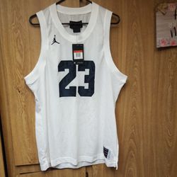 Air Jordan 11 jersey