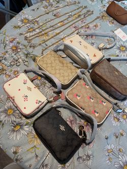 Coach Small Bags