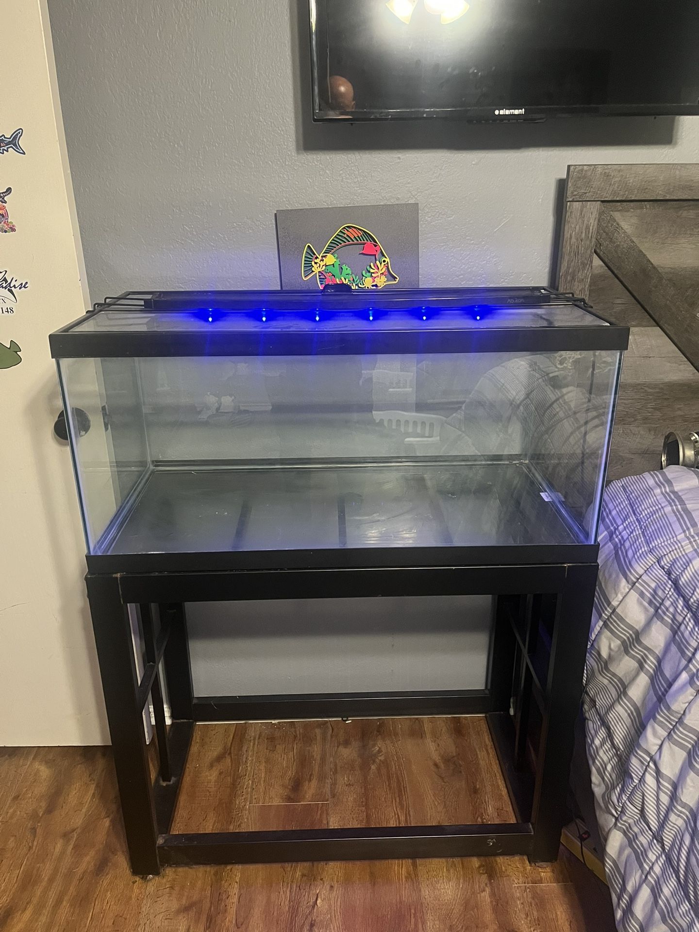 55 Gallon Breeder Tank