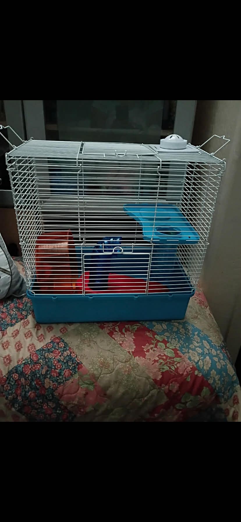 Hamster Cage 